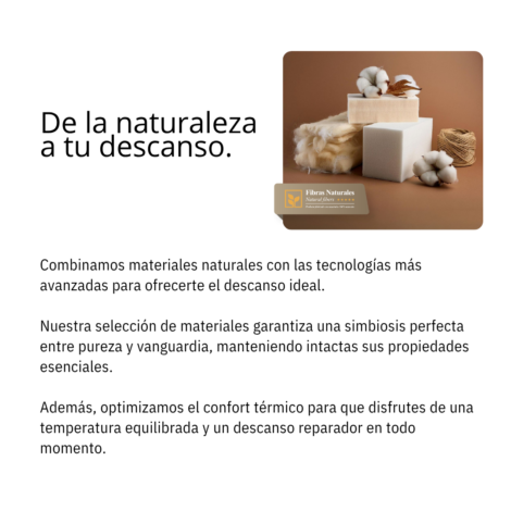 Boockingham 6 Boockingham 6